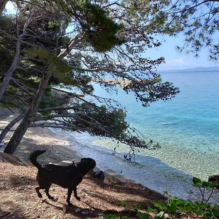 Apartman Kira * Makarska